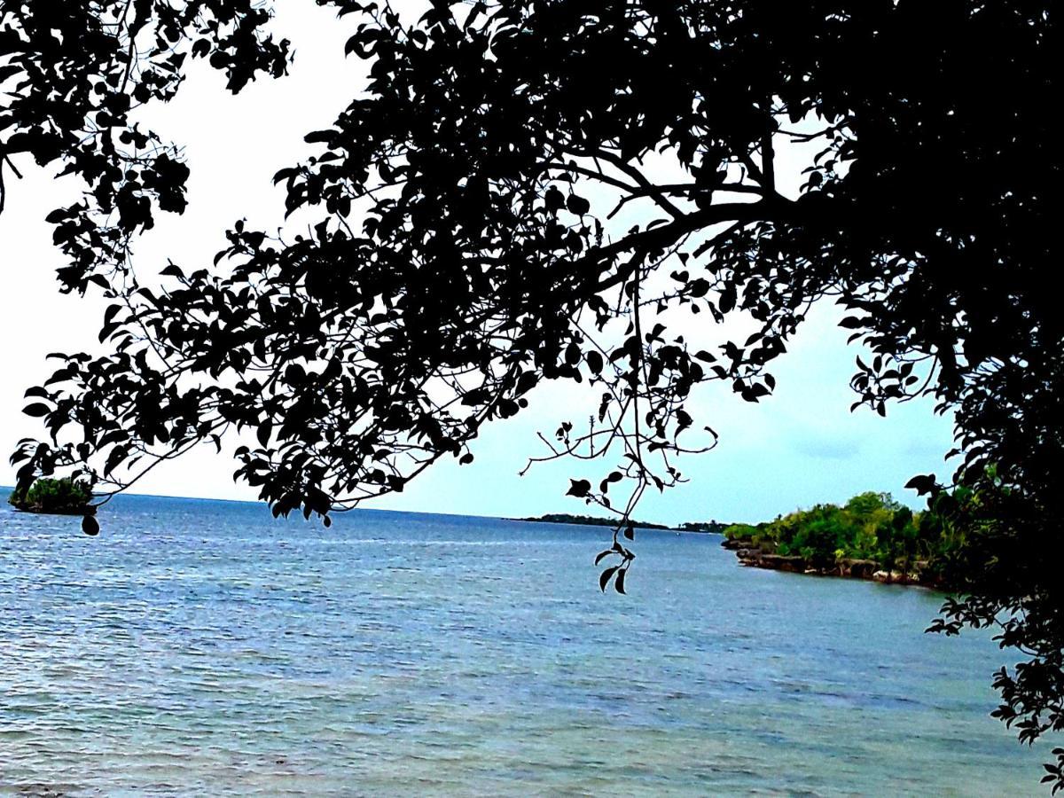 Adayo Cove Resort Siquijor Eksteriør bilde